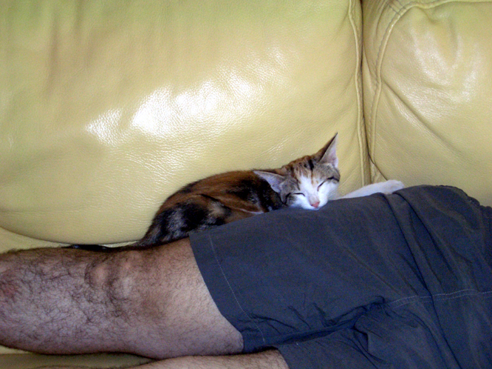 Caramel 08-04 007.jpg